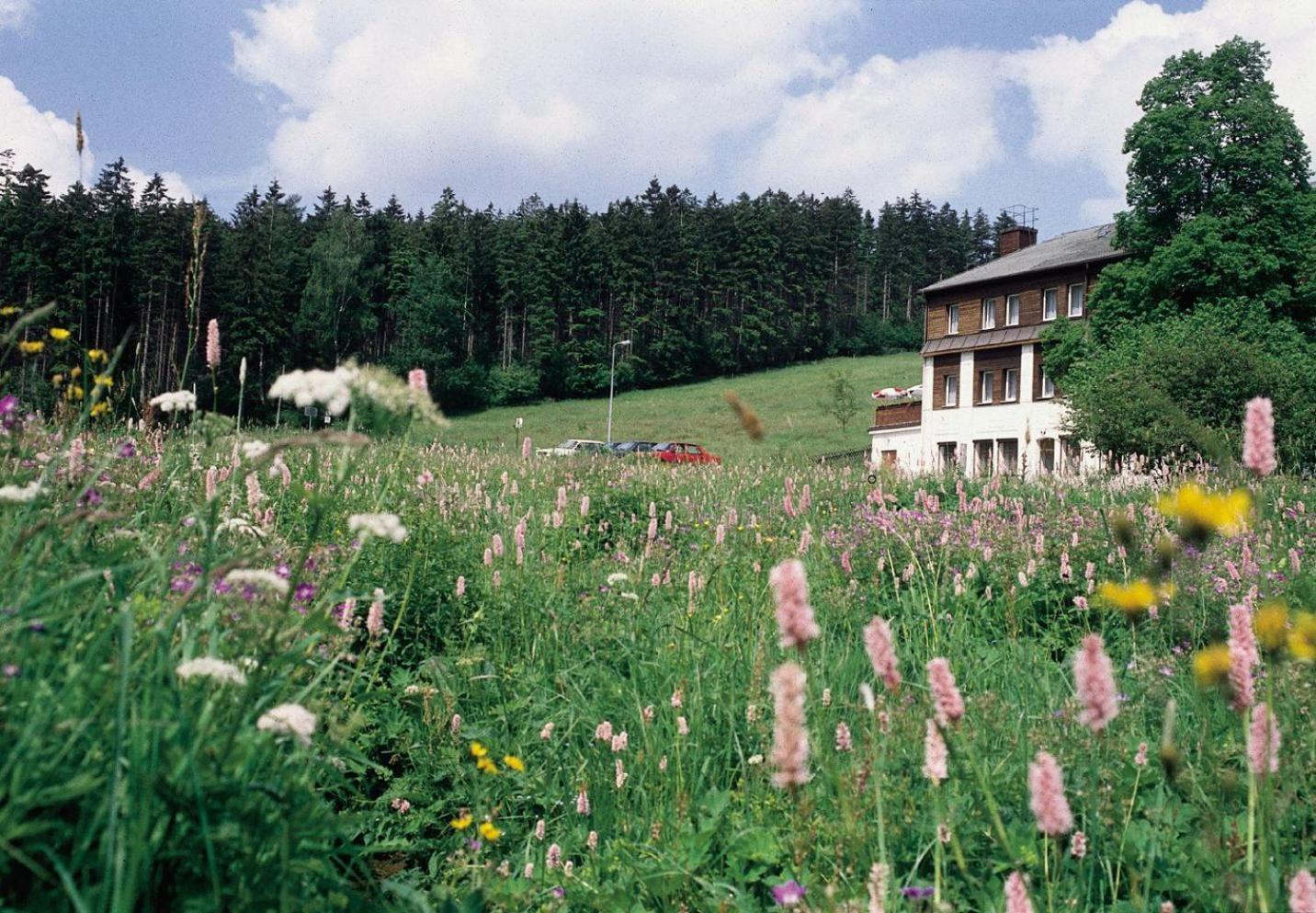 Landhaus Bergidyll Barenstein Bagian luar foto