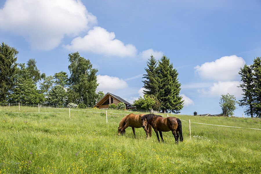 Landhaus Bergidyll Barenstein Bagian luar foto