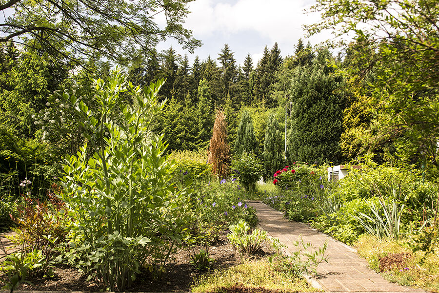 Landhaus Bergidyll Barenstein Bagian luar foto